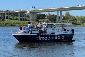 Porto: 6 siltaa -risteily portviinin maistajaisilla ja auringonlaskun katseluvaihtoehdolla