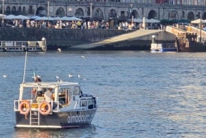 Porto: 6 siltaa -risteily portviinin maistajaisilla ja auringonlaskun katseluvaihtoehdolla