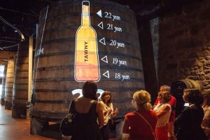 Oporto: Visita a la Bodega de Cálem, Museo Interactivo y Cata de Vinos