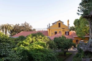 Porto: Casa São Roque direkt inträdesbiljett