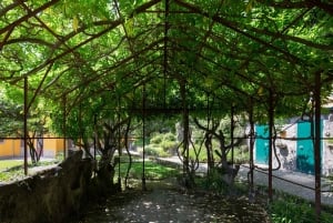 Porto: Casa São Roque direkt inträdesbiljett