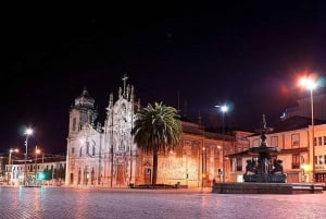 Porto City: edullinen yksityiskierros viininmaistajaisilla (erikoistarjous pariskunnille)