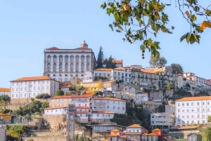 Porto City: edullinen yksityiskierros viininmaistajaisilla (erikoistarjous pariskunnille)
