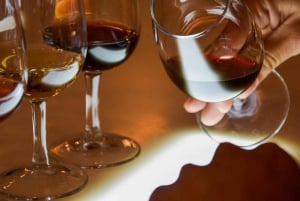 Porto City: edullinen yksityiskierros viininmaistajaisilla (erikoistarjous pariskunnille)