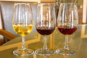 Porto: City Tour, 6 Bridges Cruise and Wine Tasting