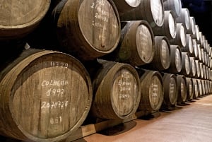 Porto: City Tour, 6 Bridges Cruise and Wine Tasting