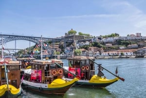 Porto: City Tour, 6 Bridges Cruise and Wine Tasting