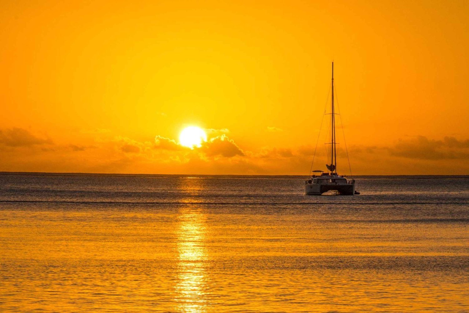 Porto Conte: Katamaranudflugt ved solnedgang med aperitif