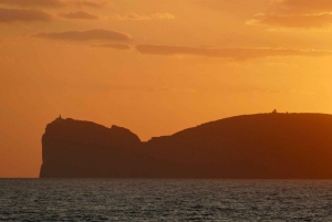 Porto Conte: Escursione in catamarano al tramonto con aperitivo