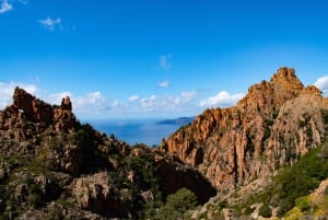 Porto: Creeks of Piana & Capo Rosso Guided Boat Tour