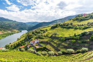 Porto: Tur til vingårder i Dão med vinsmaking, lunsj og ost