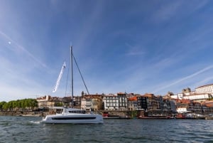 Porto: Daytime or Sunset Douro River Sightseeing Cruise