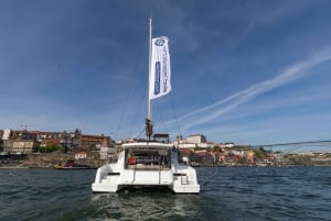 Porto: Daytime or Sunset Douro River Sightseeing Cruise