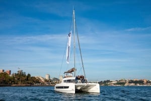Porto: Daytime or Sunset Douro River Sightseeing Cruise