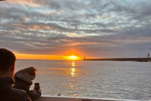 Porto: stadsuitzicht of zonsondergangtour met drankjes