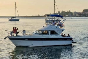 Porto: stadsuitzicht of zonsondergangtour met drankjes