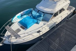 Porto: stadsuitzicht of zonsondergangtour met drankjes