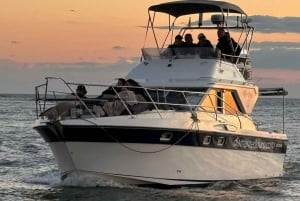 Porto: stadsuitzicht of zonsondergangtour met drankjes