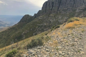 Ночная прогулка с гидом, чтобы насладиться восходом солнца на горе Марао