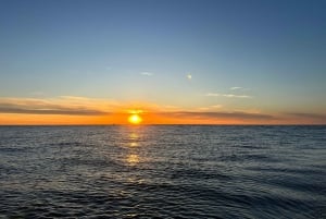 Porto: Båttur på elven Douro med vinsmaking (liten gruppe)