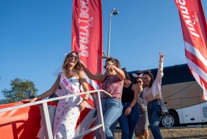 Porto: Douro River Party Boat med solnedgångsalternativ & 6 broar