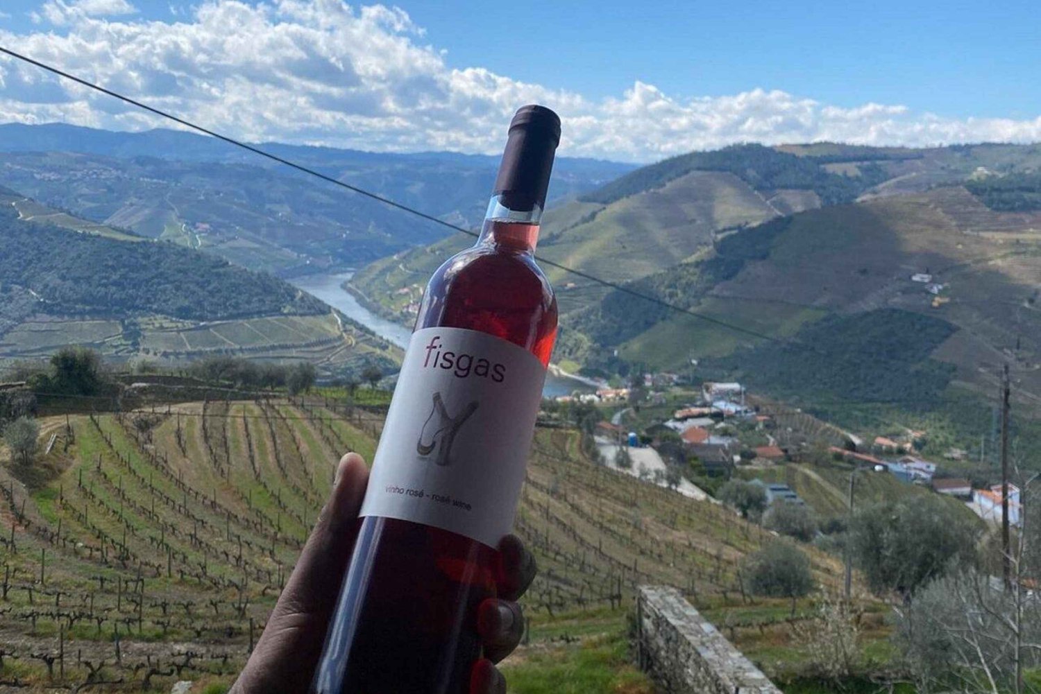 Porto: Douro Valley halvdagstur med vin og mad