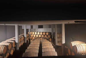 Porto: Halbtagestour durch das Douro-Tal mit Wein und Foodtour