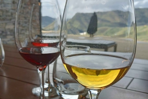 Porto: Halbtagestour durch das Douro-Tal mit Wein und Foodtour