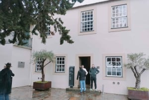 Porto: Halbtagestour durch das Douro-Tal mit Wein und Foodtour