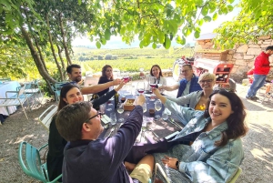 Porto: Tur til Douro-dalen med 2 vingårde, frokost og krydstogt