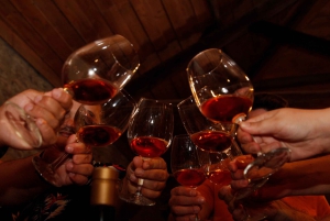 Porto: Tur til Douro-dalen med 2 vingårde, frokost og krydstogt