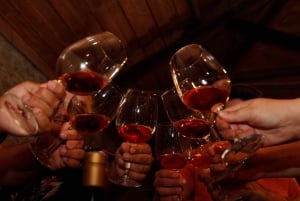 Porto: Tur til Douro-dalen med 2 vingårde, frokost og krydstogt