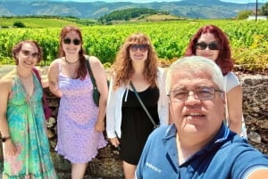 Porto: Tur til Douro-dalen med 2 vingårde, frokost og krydstogt