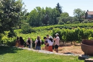 Porto: Tur til Douro-dalen med 2 vingårde, frokost og krydstogt