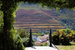 Porto: Tur til Douro-dalen med 2 vingårde, frokost og krydstogt