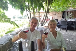 Porto: Tur til Douro-dalen med 2 vingårde, frokost og krydstogt