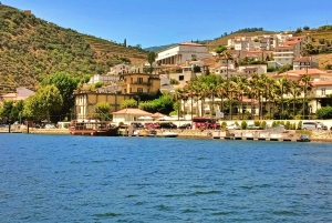 Porto: Tur til Douro-dalen med 2 vingårde, frokost og krydstogt