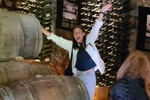 Porto: Tur til Douro-dalen med 2 vingårde, frokost og krydstogt