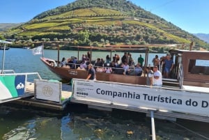 Porto: Tur til Douro-dalen med 2 vingårde, frokost og krydstogt