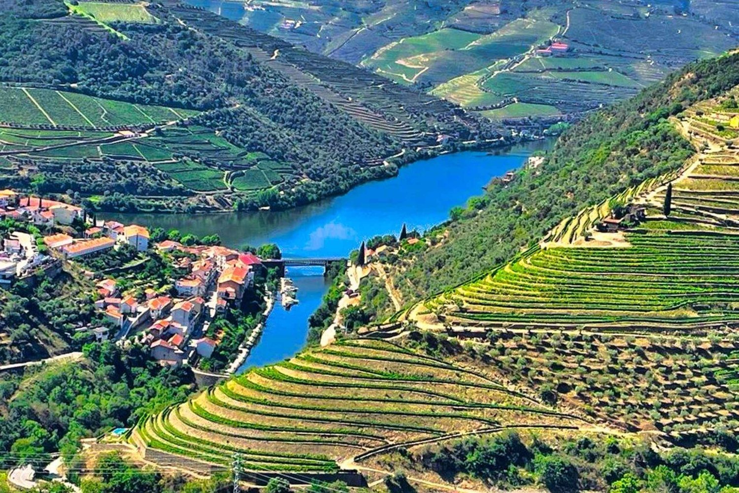 Porto: Douro Valley Tour with 2 Wineries, Lunch and Cruise