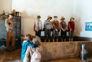 Porto: Douro Valley Tour mit 2 Weingütern, Mittagessen und Kreuzfahrt