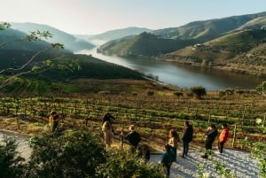 Porto: Douro Valley Tour mit 2 Weingütern, Mittagessen und Kreuzfahrt