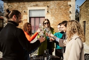 Porto: Douro Valley Tour mit 2 Weingütern, Mittagessen und Kreuzfahrt