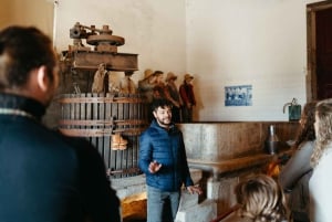 Porto: Douro Valley Tour mit 2 Weingütern, Mittagessen und Kreuzfahrt