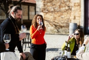 Porto: Douro Valley Tour mit 2 Weingütern, Mittagessen und Kreuzfahrt