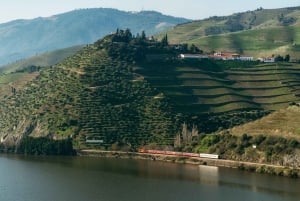 Porto: Douro Valley Tour mit 2 Weingütern, Mittagessen und Kreuzfahrt