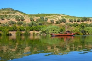 Porto: Douro Valley Tour mit 2 Weingütern, Mittagessen und Kreuzfahrt