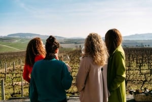 Porto: Douro Valley Tour mit 2 Weingütern, Mittagessen und Kreuzfahrt