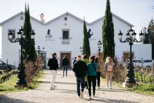 Porto: Douro Valley Tour mit 2 Weingütern, Mittagessen und Kreuzfahrt