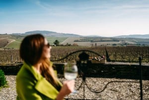 Porto: Douro Valley Tour mit 2 Weingütern, Mittagessen und Kreuzfahrt